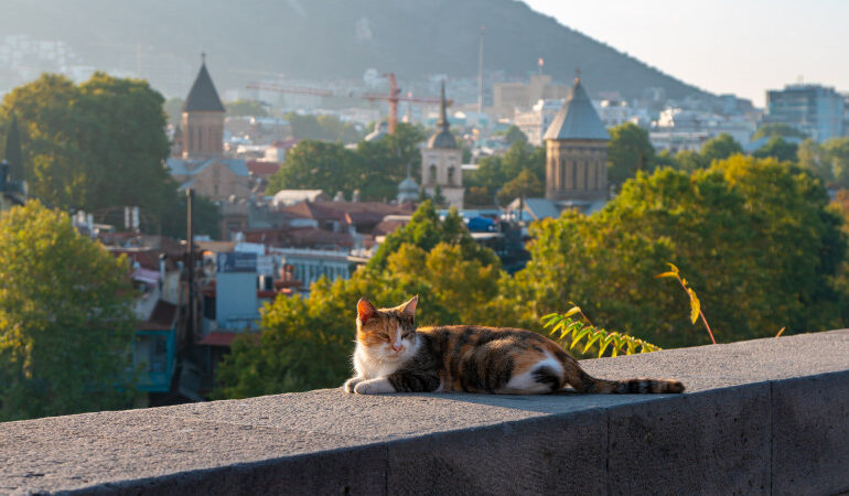 «Красивые люди и ветхие дома»: казахстанка рассказала о поездке в Тбилиси