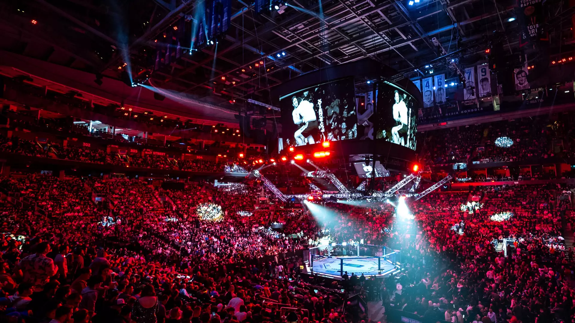 Чемпион UFC устроил драку на трибунах: неожиданная развязка истории