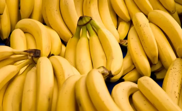 (RU) Первый урожай бананов в промышленных масштабах созрел на юге Казахстана