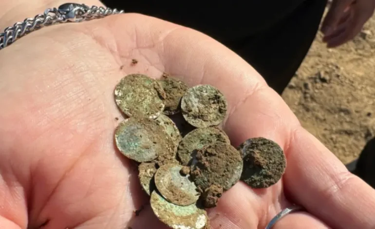 Как джекпот: более 2000 древних монет случайно нашли в поле в Чехии