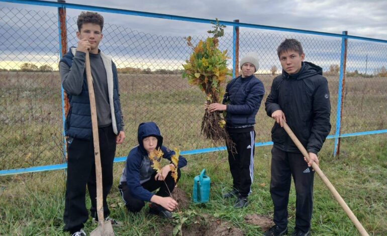 Бородулиха ауданында «Таза Қазақстан» бағдарламасы аясында ағаш отырғызу жұмыстары жүргізілуде