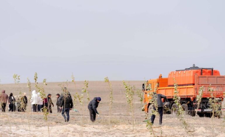 Аким области: Работы по обеспечению чистоты в регионе должны вестись круглый год – зимой и летом