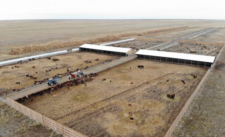 В Аксуатском районе ведется строительство нескольких объектов предпринимательства